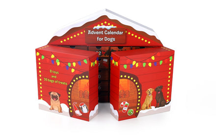 Dog food calendar carton: let pets have surprises every day