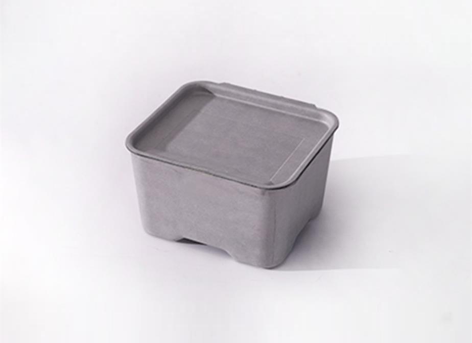Wet press molded pulp Box
