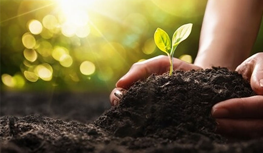 Responsible corporate sustainability