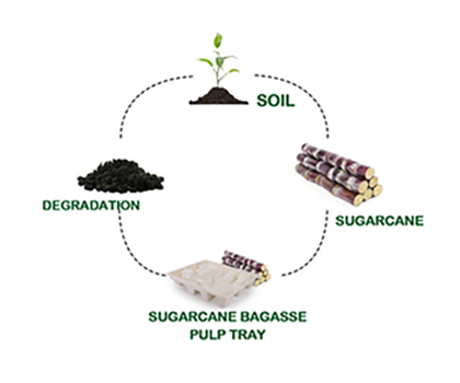 Recyclable biodegradable accessories