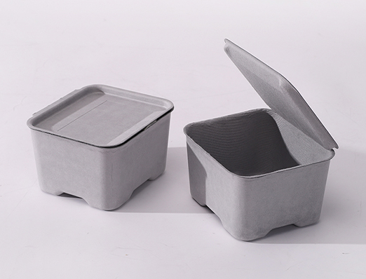 Wet press molded pulp Box