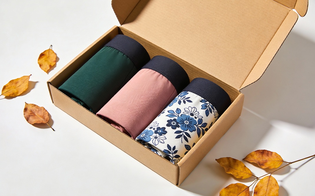 Briefs mailer shipping box
