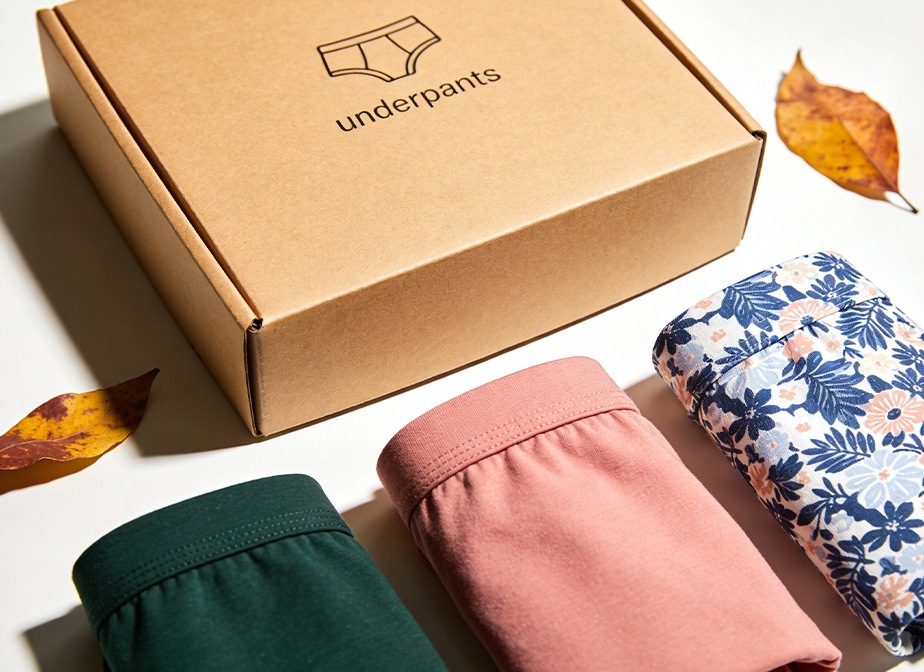 Briefs mailer shipping box