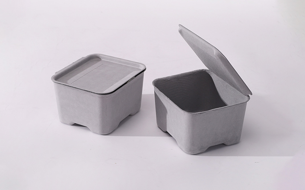 Wet press molded pulp Box