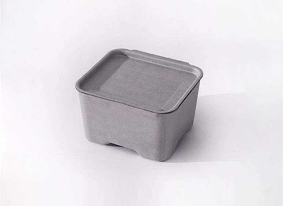 Wet press molded pulp Box