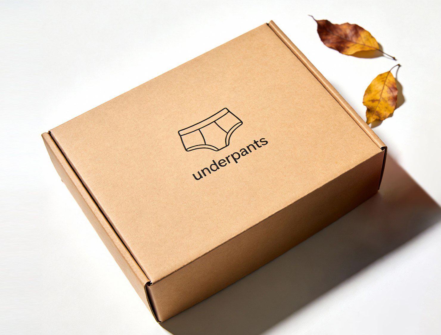 Briefs mailer shipping box