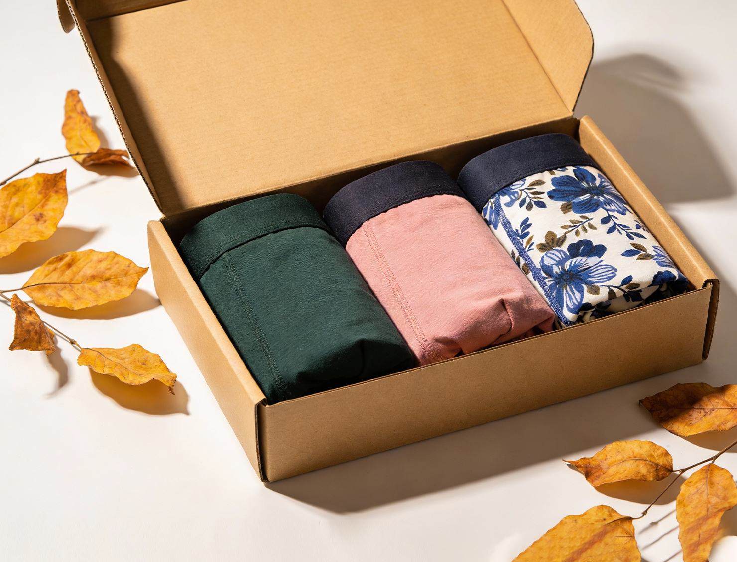 Briefs mailer shipping box
