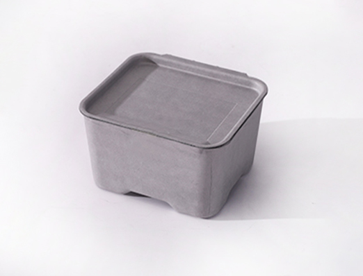 Wet press molded pulp Box