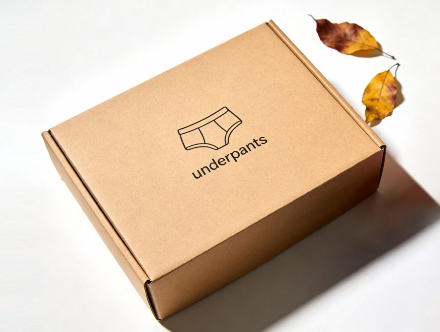 Briefs mailer shipping box
