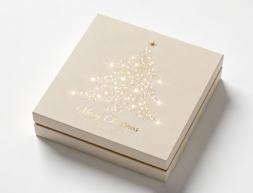 luxury clothing packaging
